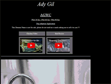 Tablet Screenshot of ady.com